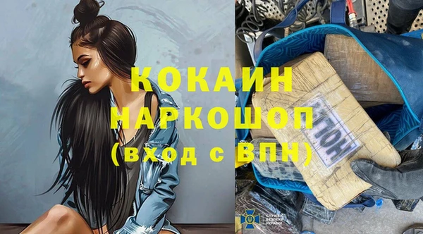 гидра Киселёвск