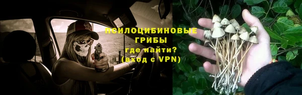 амф Горно-Алтайск