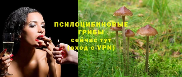 спайс Горняк