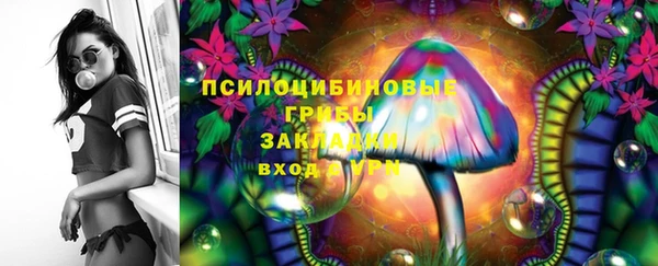 амф Горно-Алтайск