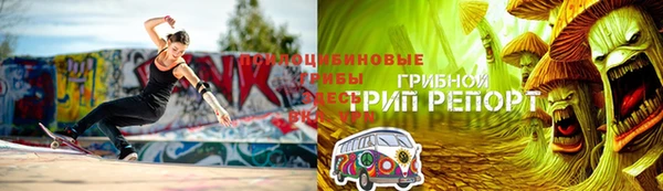 амф Горно-Алтайск