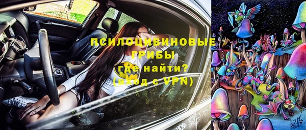 амф Горно-Алтайск