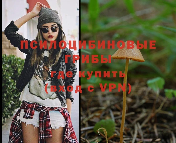 трава Горнозаводск