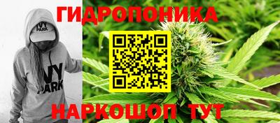 синтетический гашиш Пенза