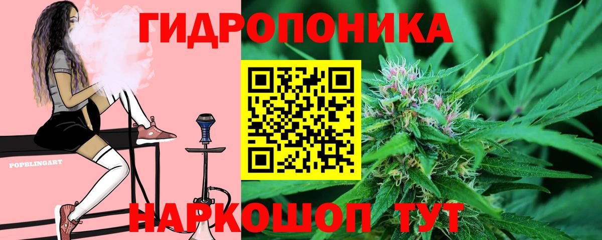 Каннабис Amnesia Мончегорск